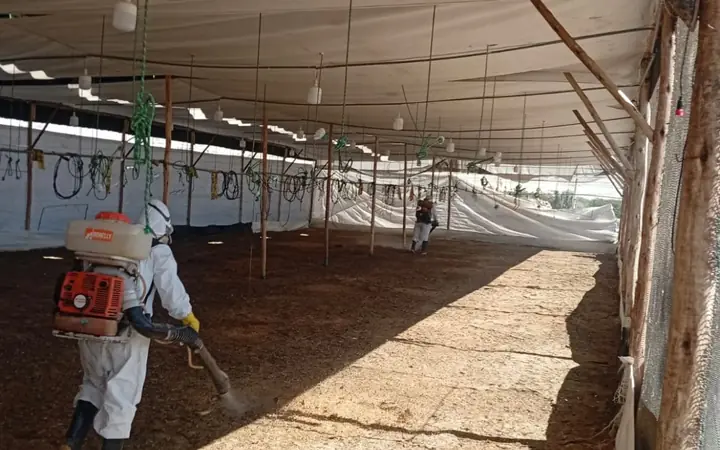 Galpón de Granjas Bonanza en operación